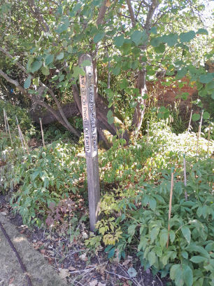 Art in Delapre Abbey walled garden